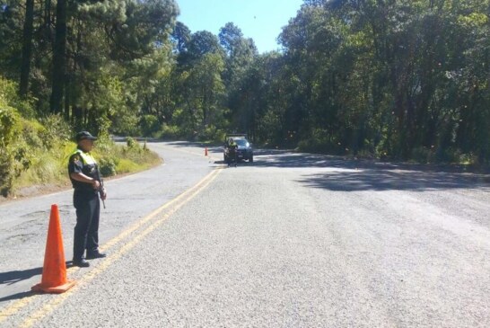 Por arribo de la mariposa monarca, secretaría de seguridad implementa operativo de protección a paseantes