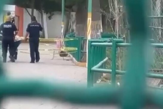 Relámpagos trasladan a menor mordido por lobo en Neza