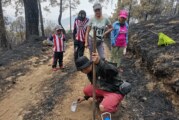 Brigadas voluntarias en Bosques de Xóchicuautla ofrece comida y agua a animales afectados por incendios.