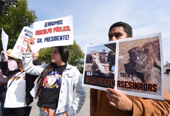 Exigen investigación por supuesto maltrato animal en Unidad de Control de Alomoloya de Juárez