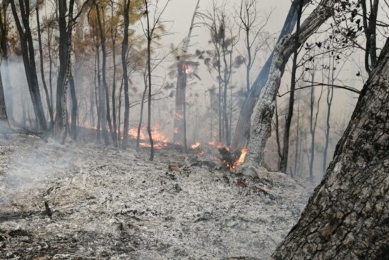 Continúa combate de incendio forestal en Valle de Bravo