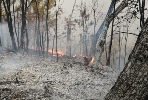 Continúa combate de incendio forestal en Valle de Bravo