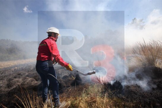 En dos días de incendios forestales se han afectado 15 hectáreas de bosque en la entidad