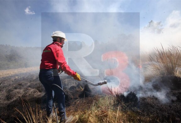 En dos días de incendios forestales se han afectado 15 hectáreas de bosque en la entidad