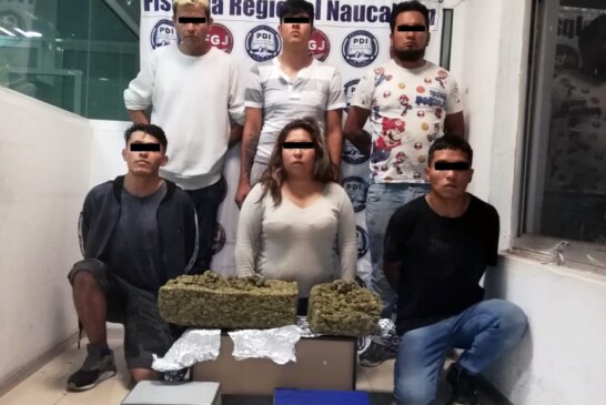 Asegura FGJEM siete kilogramos de marihuana durante cateo en Naucalpan