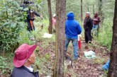 Récord histórico de reforestación en El Oro con 62 mil árboles plantados