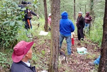 Récord histórico de reforestación en El Oro con 62 mil árboles plantados