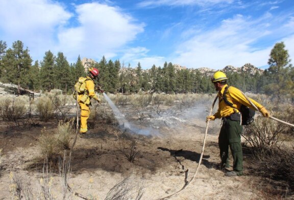 Arranca 2018 con 47% menos incendios forestales que en 2017