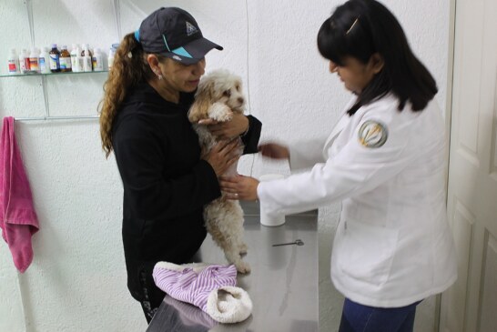 Gobierno de Metepec promueve tenencia responsable de mascotas