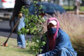 Celebra Metepec el día mundial del medio ambiente plantando árboles