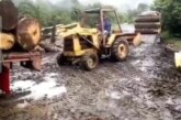 Detectan talamontes en Temascaltepec, piden la intervención de las autoridades