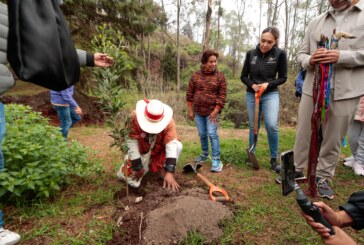 Comienza jornada de reforestación en Metepec