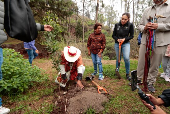 Comienza jornada de reforestación en Metepec