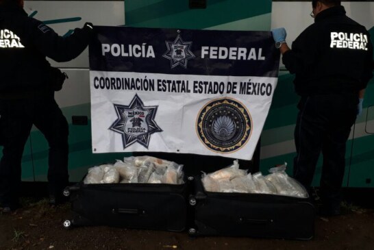 Policía Federal aseguró cerca de 36 kilogramos de marihuana dentro de un autobús