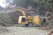 Habilita Probosque 19 centros de acopio para árboles de navidad