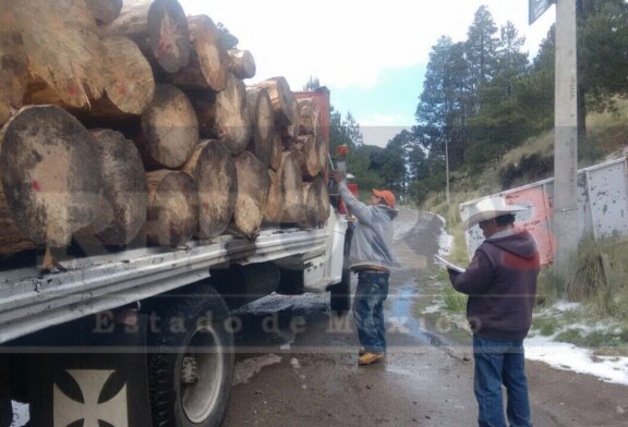 Ignacio Pichardo tras la tala de los bosques del Xinantecatl.