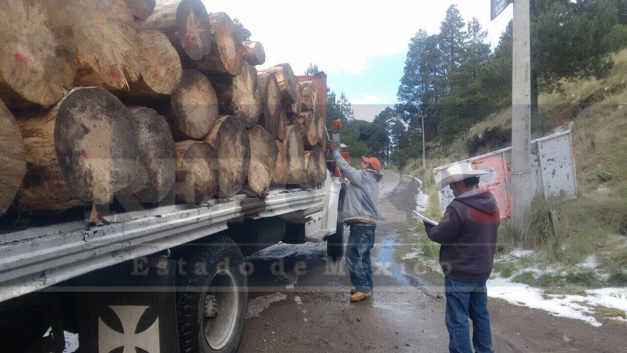 Ignacio Pichardo tras la tala de los bosques del Xinantecatl.