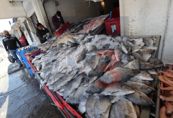 Listos comerciantes para la venta de pescado en Semana Santa