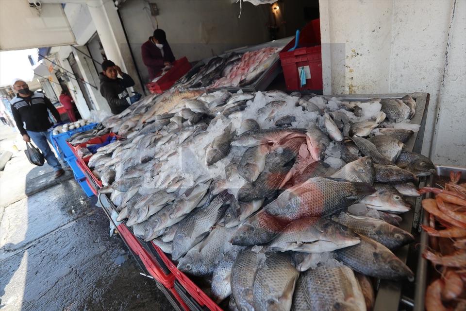 Listos comerciantes para la venta de pescado en Semana Santa - Report3