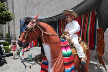 Mulas de Corpus Christi sobreviven a pandemia de Covid-19 y llegan a las calles de Toluca