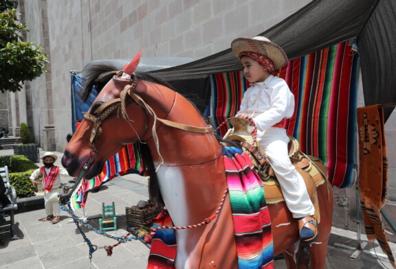 Mulas de Corpus Christi sobreviven a pandemia de Covid-19 y llegan a las calles de Toluca