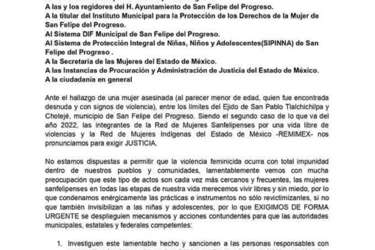 Mujeres Mazahuas de San Felipe del Progreso piden justicia y más seguridad.