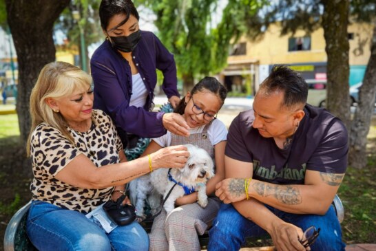 Promueve asistencia social rescate de mascotas