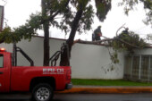 Atienden Bomberos de Toluca reportes de árboles en riesgo por paso del ciclón Franklin