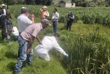 Arrancan trabajos para analizar el agua y suelo en zonas afectadas por Bionatur