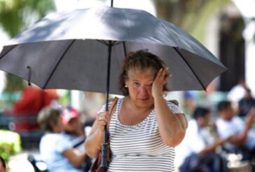 Ola de calor en México traerá temperaturas de hasta 45 grados. Edomex llegará a 40