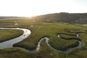 Descubre la belleza natural de San Quintín a través de sus reservas