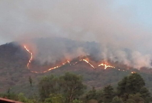 Suman más de 36 horas activo un incendio al sur del Edomex, más de 500 hectáreas afectadas