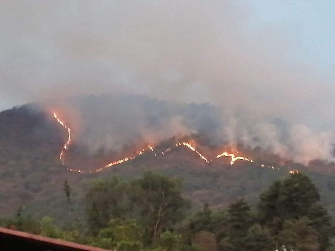 Suman más de 36 horas activo un incendio al sur del Edomex, más de 500 hectáreas afectadas