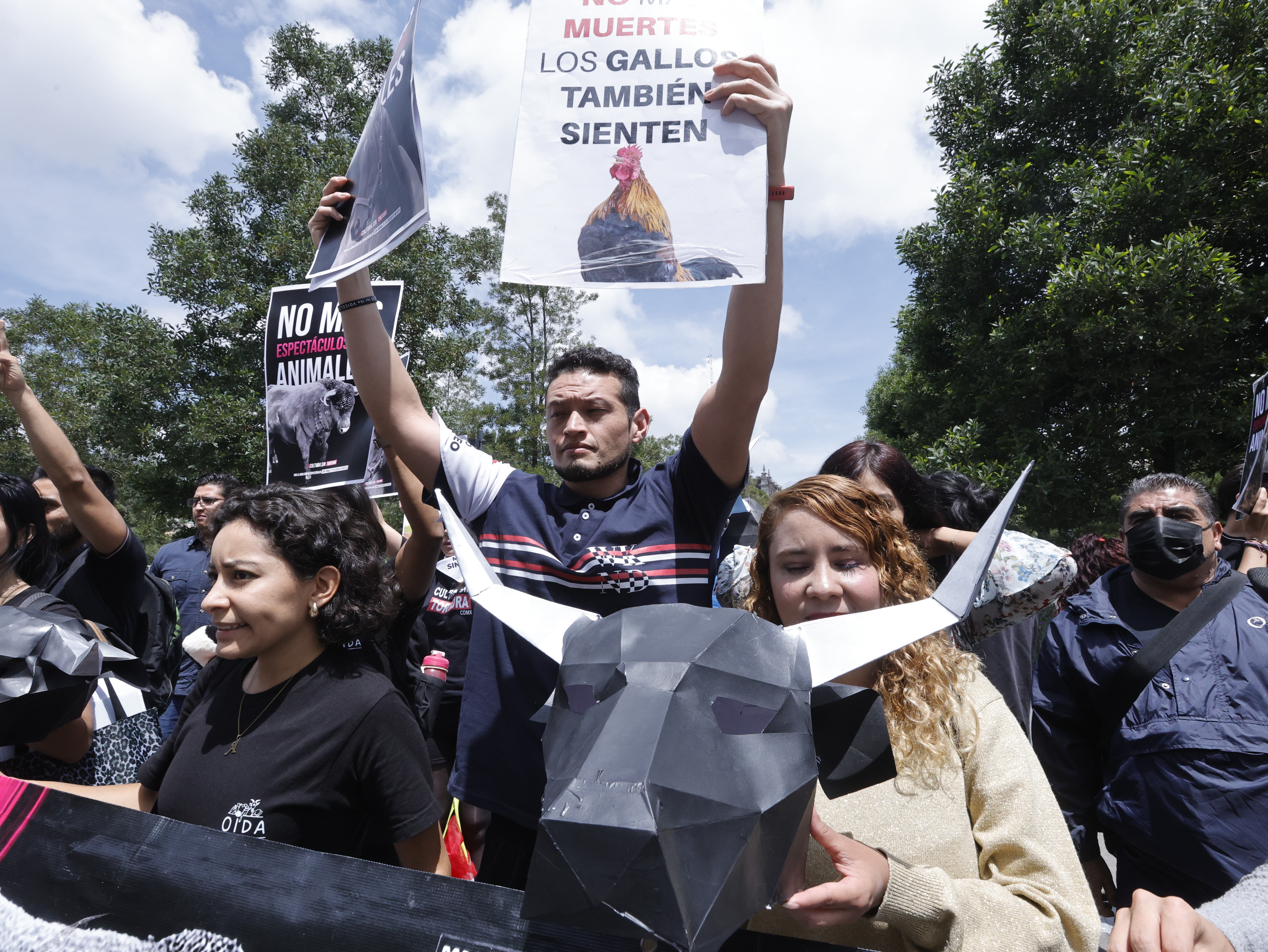 Activistas exigen la prohibición de peleas de galos y tauromaquia en Edomex