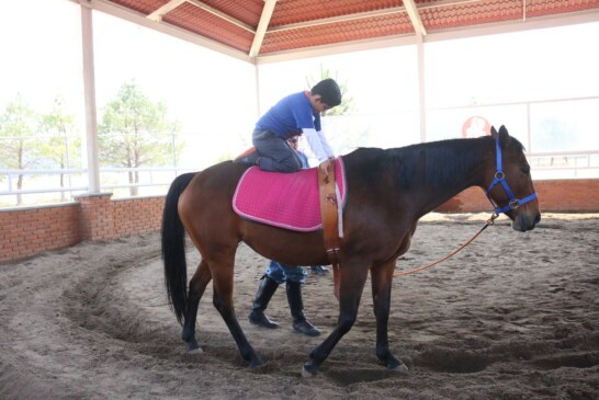 En Toluca transforma equinoterapia la vida de cientos de pequeños con discapacidad