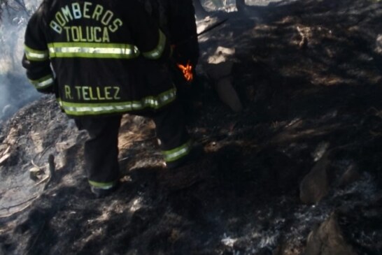 Sofocan Bomberos Toluca 34 incendios de pastizales