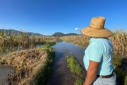 Más de 200 hectáreas de cultivos devastadas por inundaciones en Atlacomulco