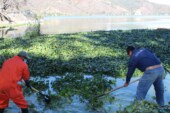 Retira CAEM microalgas de lago de Valle de Bravo