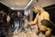 Animales gigantes llegan a Centro Tolzu. La Edad Media en México