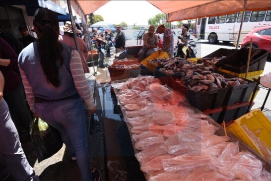 Esperan la visita de más de 30 mil personas durante este fin de semana en Zinacantepec