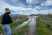 Desbordamiento del río Lerma deja sin maíz a la zona norte del Edomex