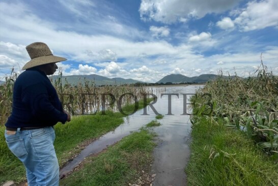 Desbordamiento del río Lerma deja sin maíz a la zona norte del Edomex