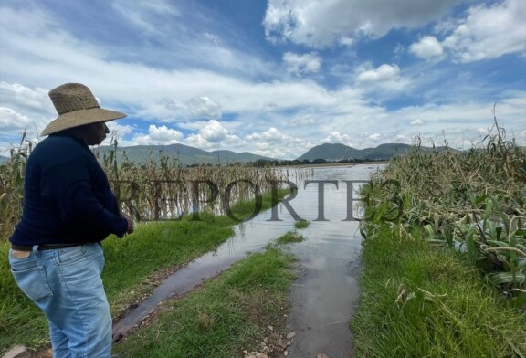 Desbordamiento del río Lerma deja sin maíz a la zona norte del Edomex