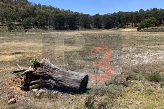 Se seca el Lago del Ocotal. La Isla de las Aves también registra una baja dramática