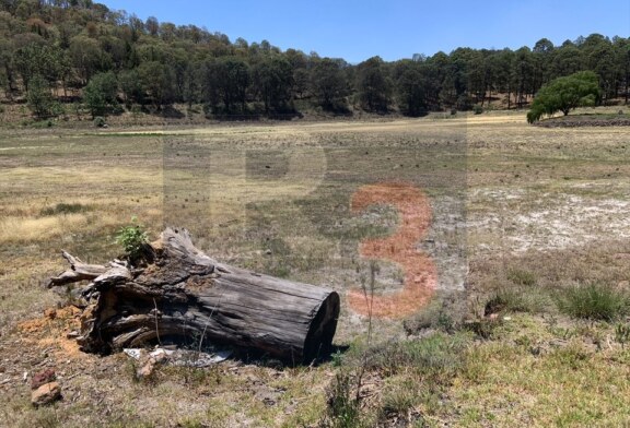 Se seca el Lago del Ocotal. La Isla de las Aves también registra una baja dramática