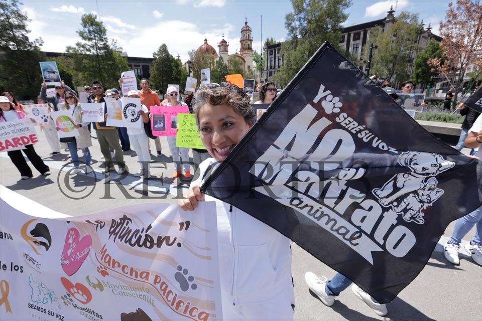 Manifestación en Toluca: exigen ley Nacional contra el Maltrato Animal