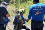 Patronato de Bomberos busca conformar el primer grupo de elite USAR en Edomex.