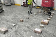 Canino de la GN detecta marihuana en Aeropuerto de Toluca, tenia al menos 6 destinos