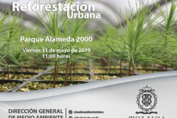 Invita Toluca a participar en la plantación de 1.5 millones de árboles